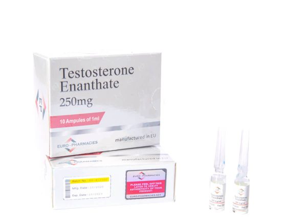 10ml amps TESTOSTERONE ENANTHATE
