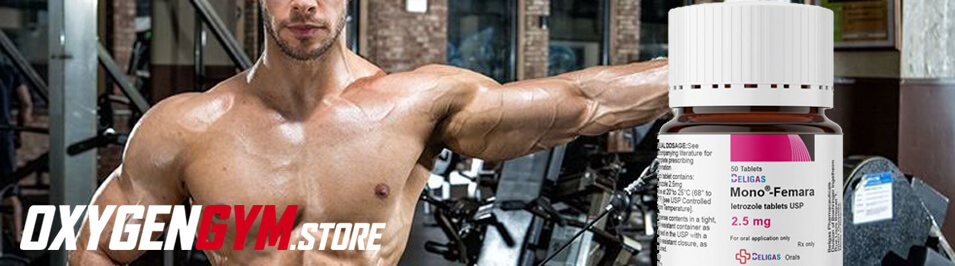 Blog de OXY sobre letrzoloe