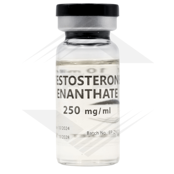 Testosterone Enanthate - 250mg/ml 10ml/vial - Euro Pharmacies